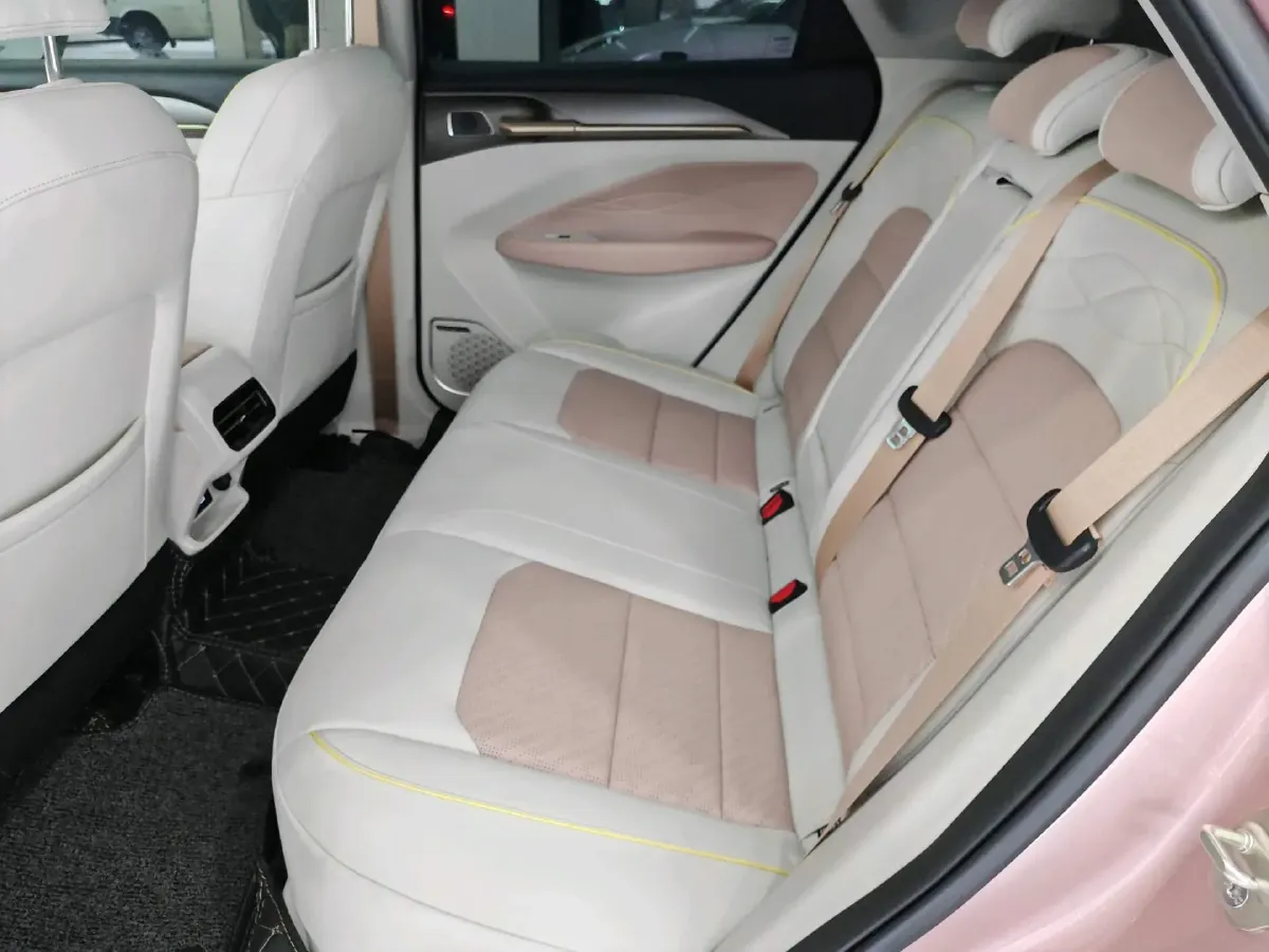 2022 Geometry M6 BEV 70KWH,autocango,china used car exporter,china ev exporter,chinese used car exporter,chinese used ev exporter