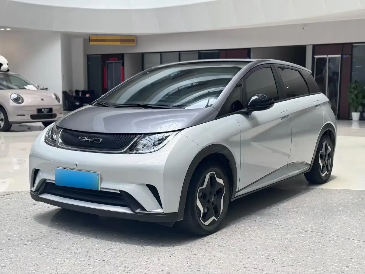 2021 BYD Dolphin BEV 44.9KWH