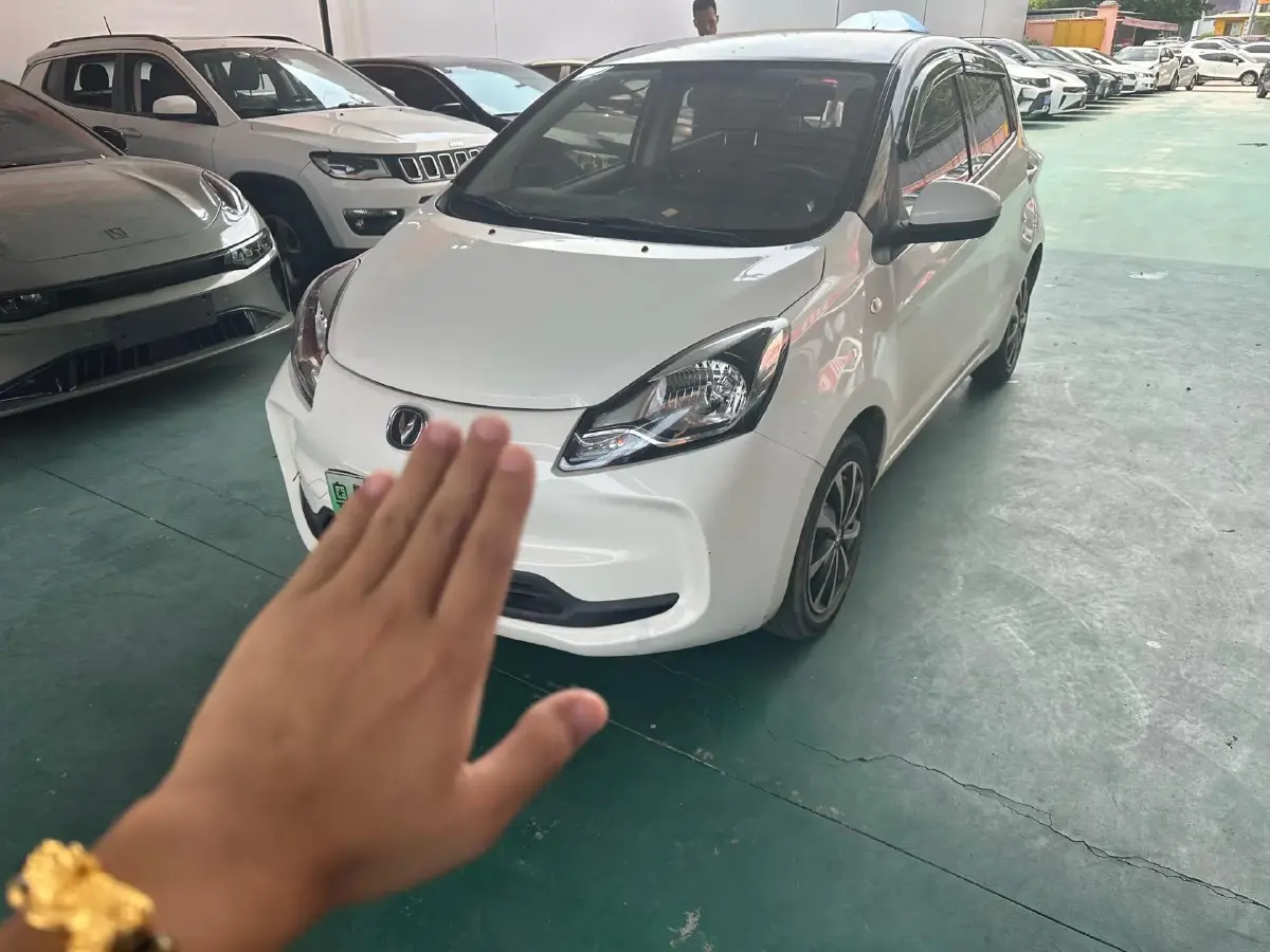 2021 ChangAn BenBen E-Star BEV 31.95KWH