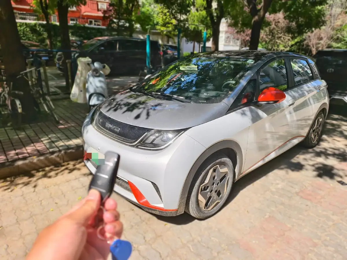 2021 BYD Dolphin BEV 44.9KWH