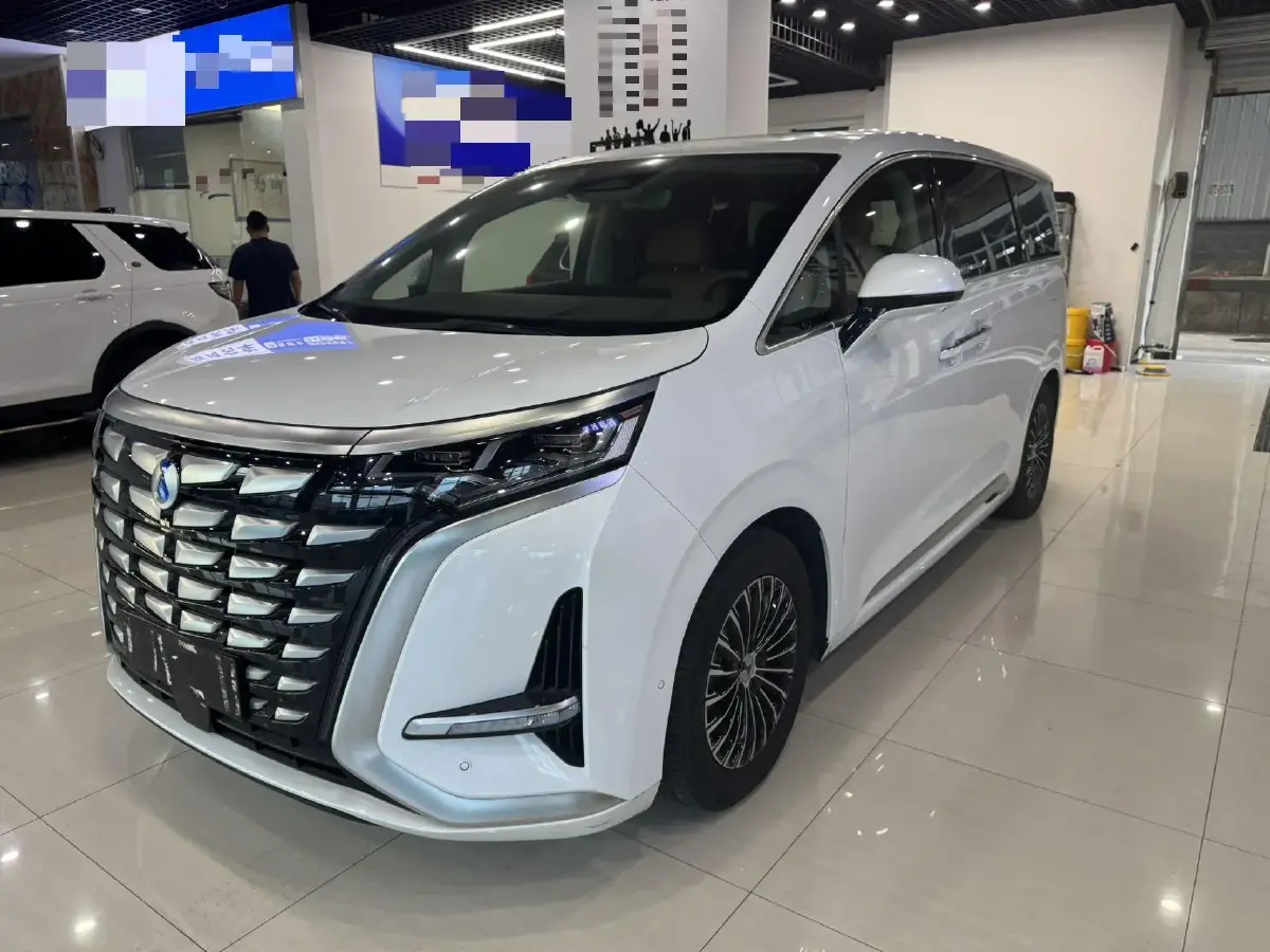 2022 Denza D9 1.5T 139HP L4 E-CVT PHEV 40.06KWH