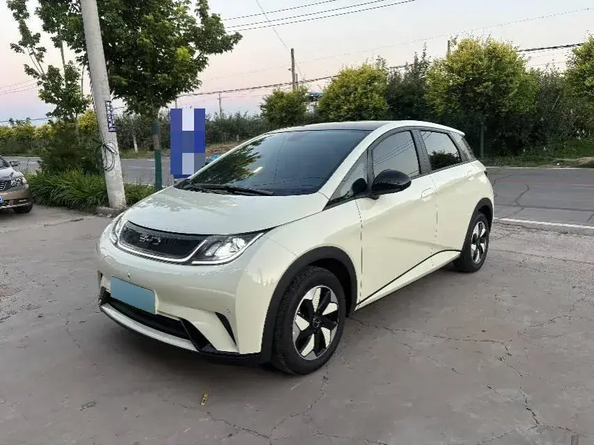 2025 BYD Dolphin BEV 44.928KWH