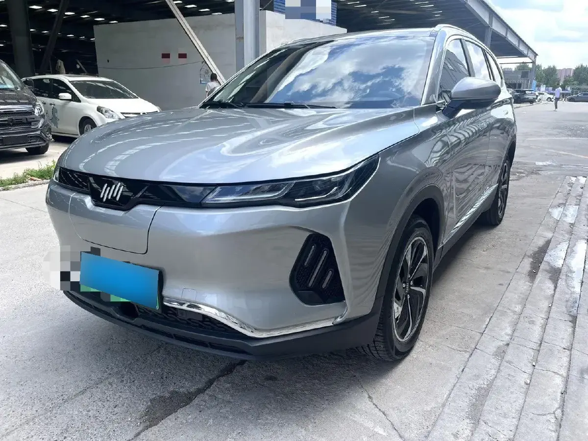 2020 Weltmeister EX6 BEV 54KWH