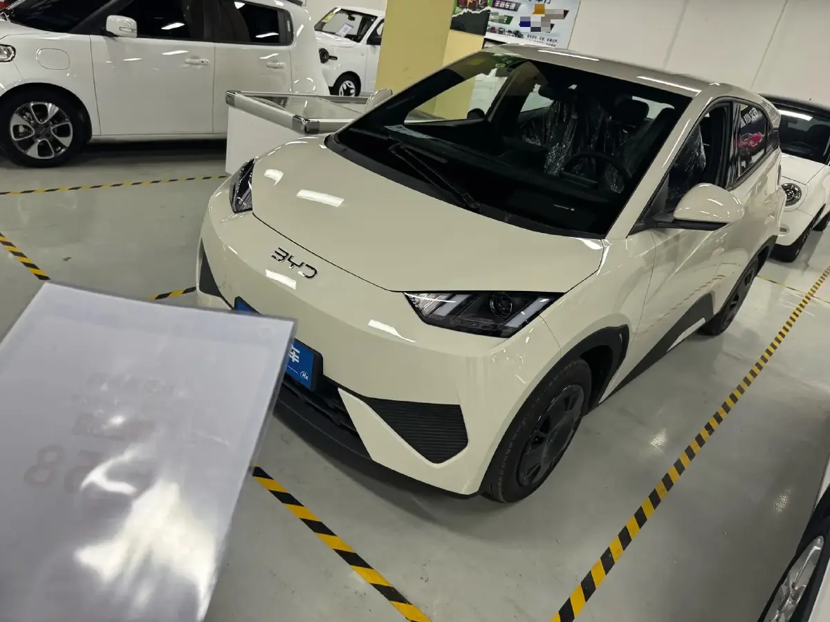 2025 BYD Seagull BEV 30.08KWH