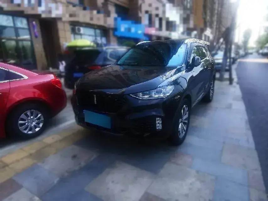 2019 WEY VV6 2.0T 224HP L4 7DCT