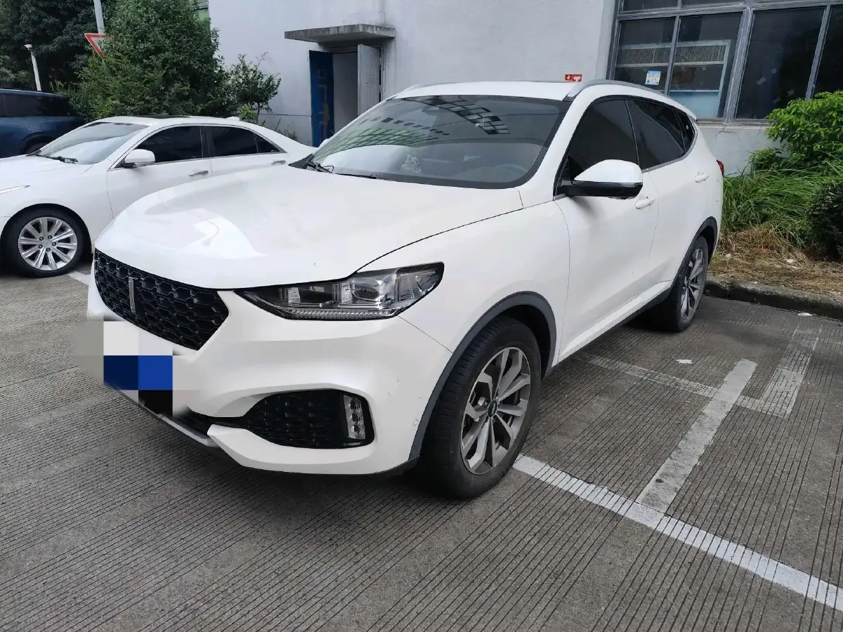 2018 WEY VV6 2.0T 197HP L4 7DCT