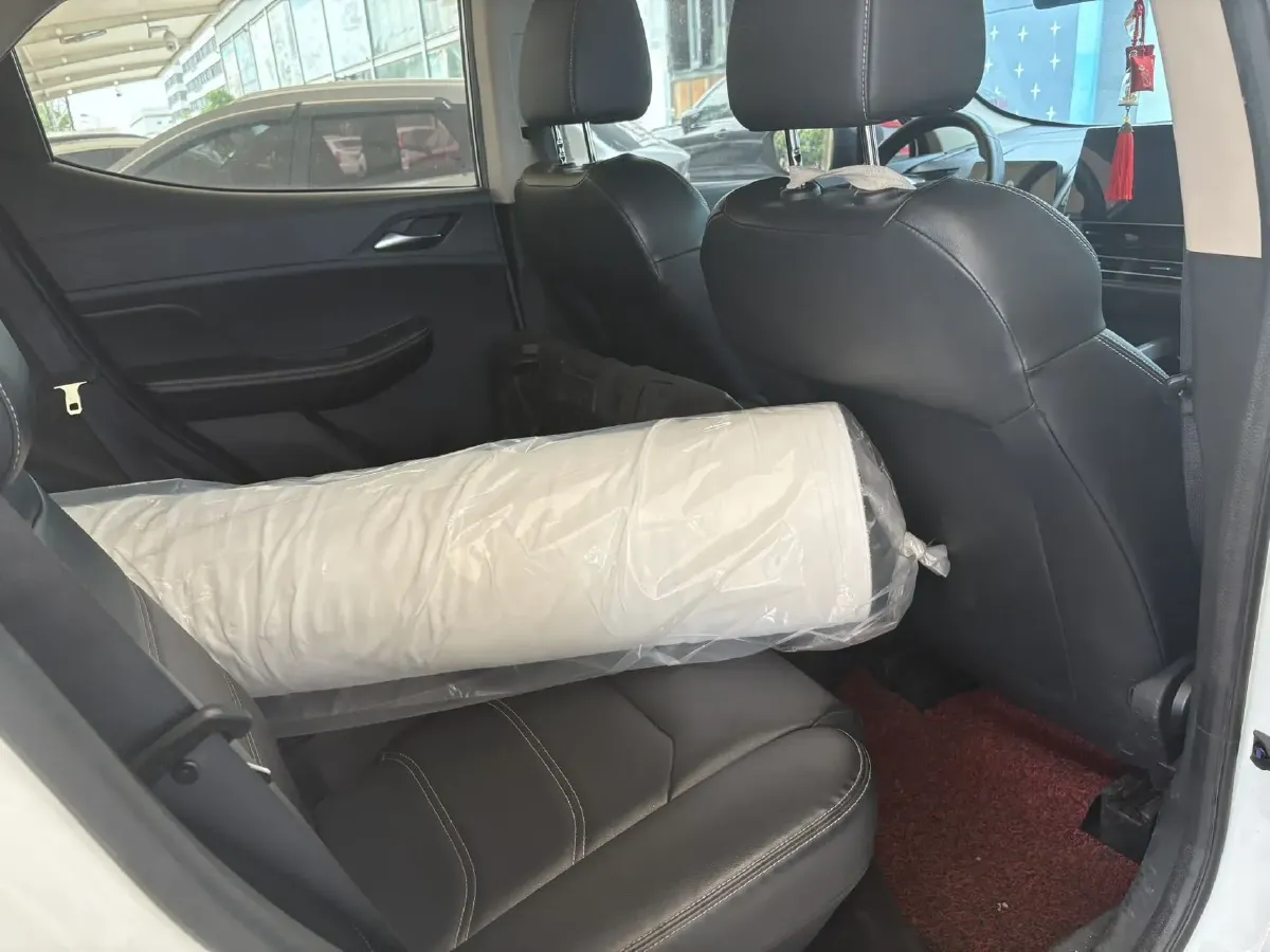 2019 BYD S2 BEV 40.62KWH,autocango,china used car exporter,china ev exporter,chinese used car exporter,chinese used ev exporter