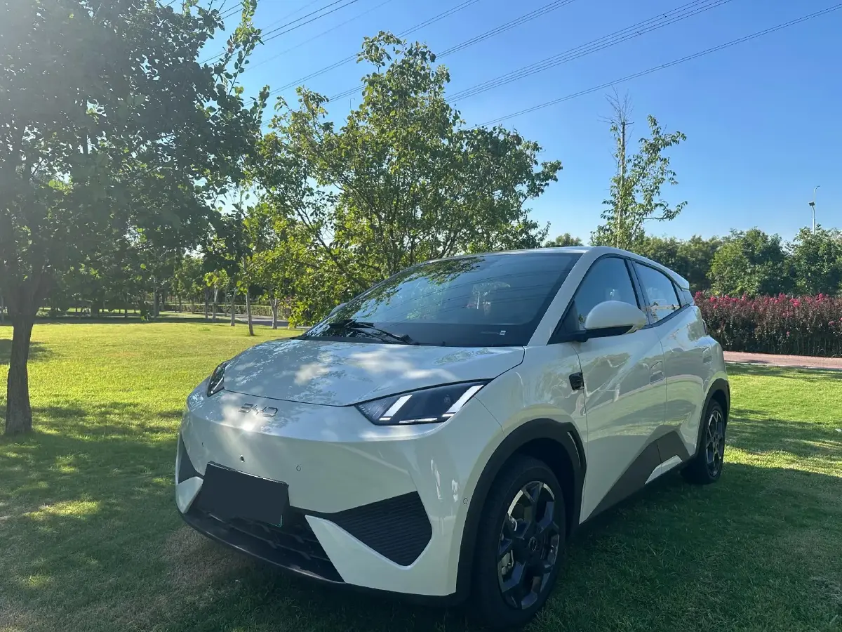 2025 BYD Seagull BEV 30.08KWH