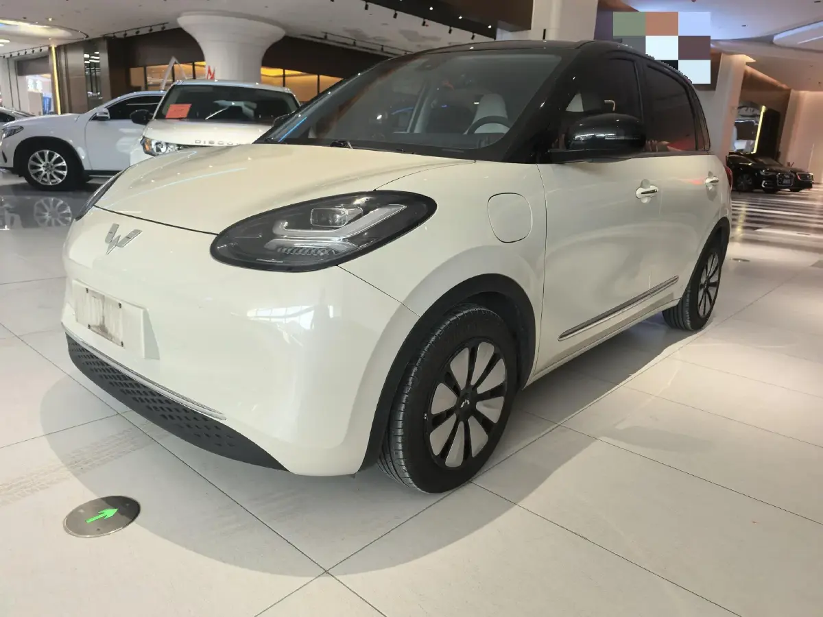2023 WuLing BinGuo BEV 31.9KWH