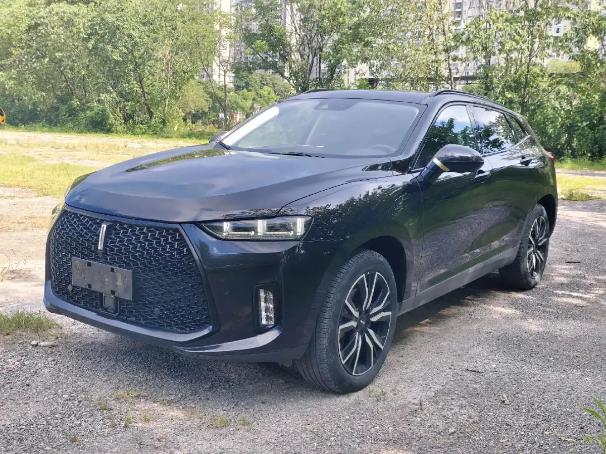 2018 WEY P8 2.0T 234HP L4 6DCT PHEV 12.96KWH