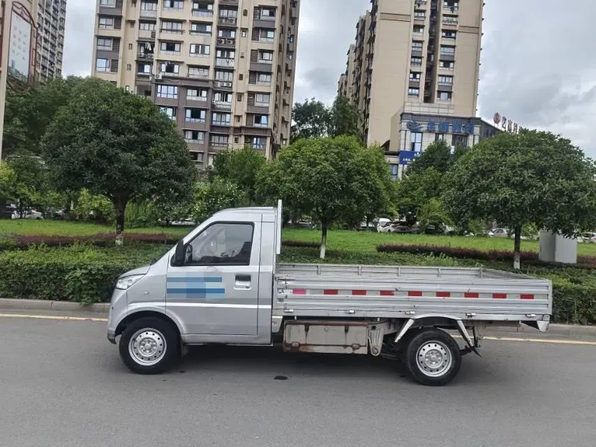 2021 WuLing Electric Truck BEV 43.2KWH,autocango,china used car exporter,china ev exporter,chinese used car exporter,chinese used ev exporter