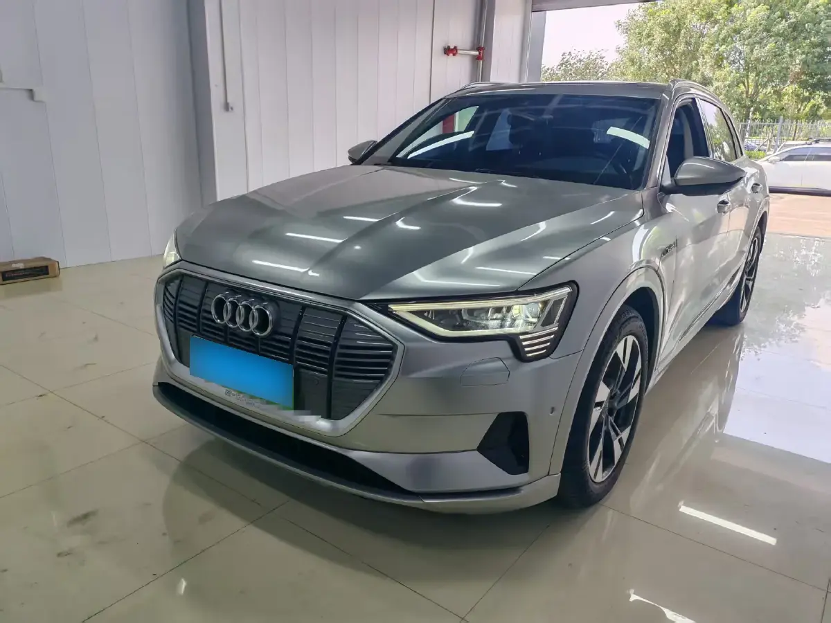 2019 Audi e-tron 2AT BEV 95KWH