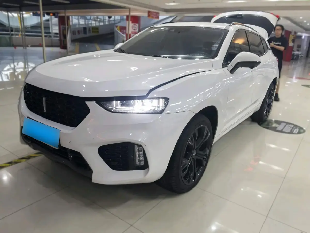 2019 WEY VV7 2.0T 227HP L4 7DCT