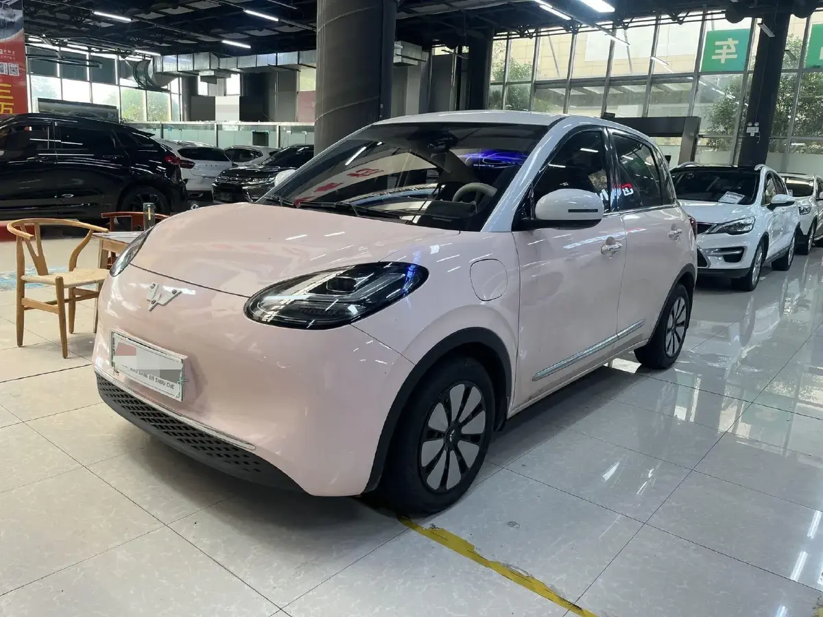 2023 WuLing BinGuo BEV 37.9KWH 2023 WuLing BinGuo BEV 37.9KWH
