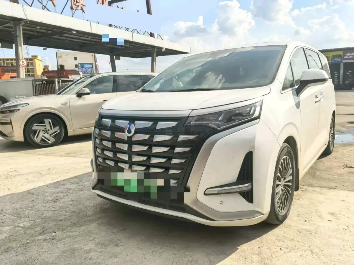 2022 Denza D9 1.5T 139HP L4 E-CVT PHEV 40.06KWH