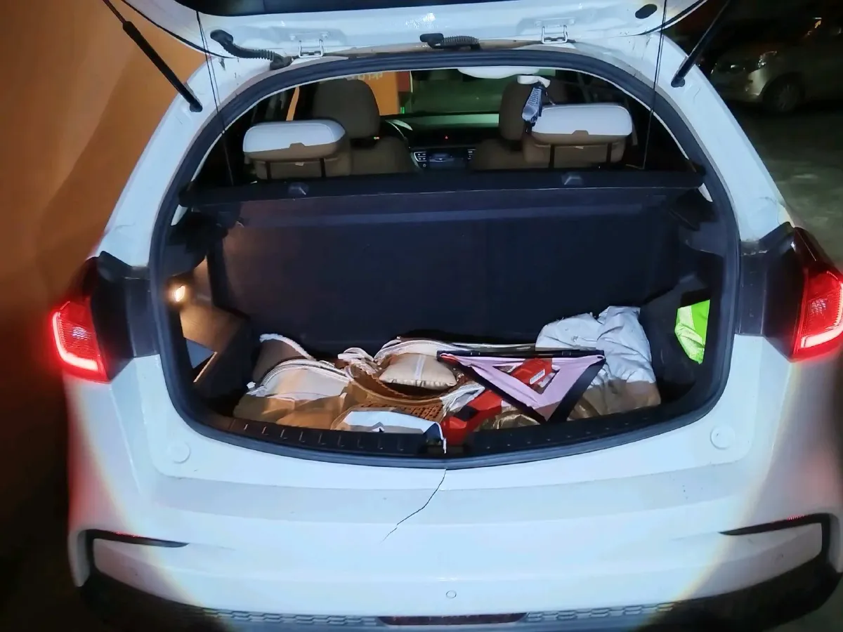 2020 Livan Maple 30X BEV 37KWH,autocango,china used car exporter,china ev exporter,chinese used car exporter,chinese used ev exporter