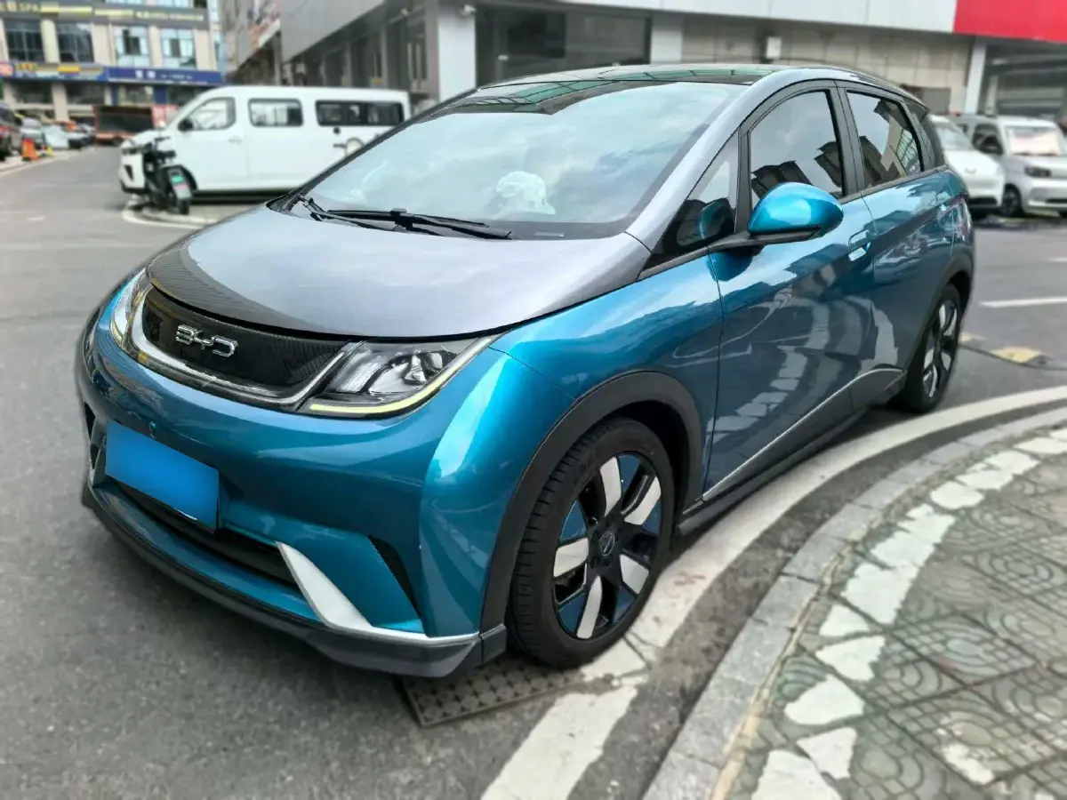 2021 BYD Dolphin BEV 44.9KWH