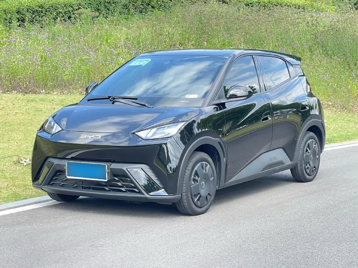 2024 BYD Seagull BEV 30.08KWH