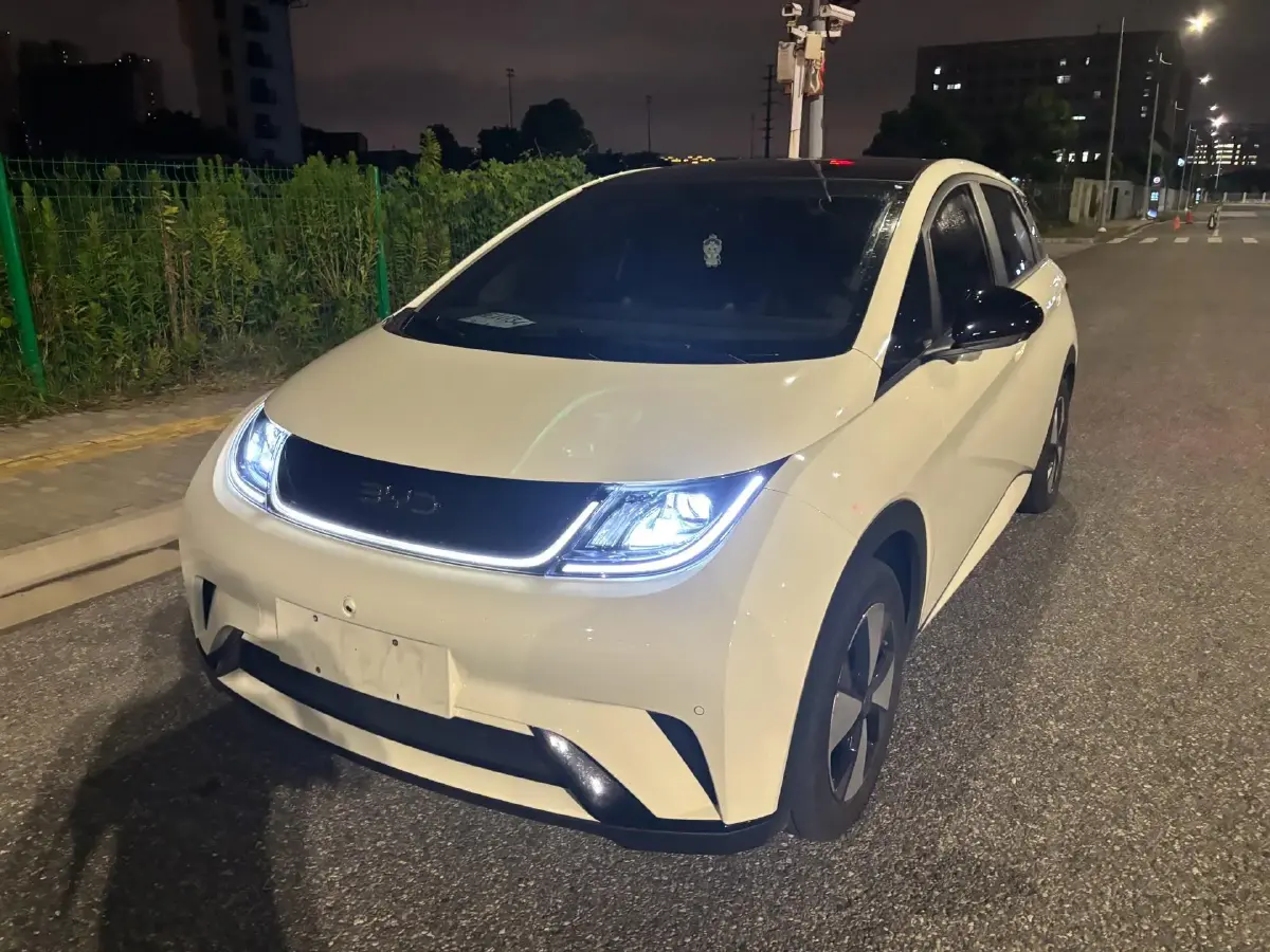 2023 BYD Dolphin BEV 44.928KWH
