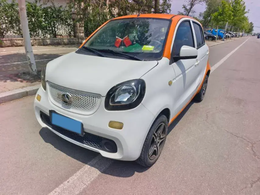 2020 BAW Big Cat BEV 10.95KWH