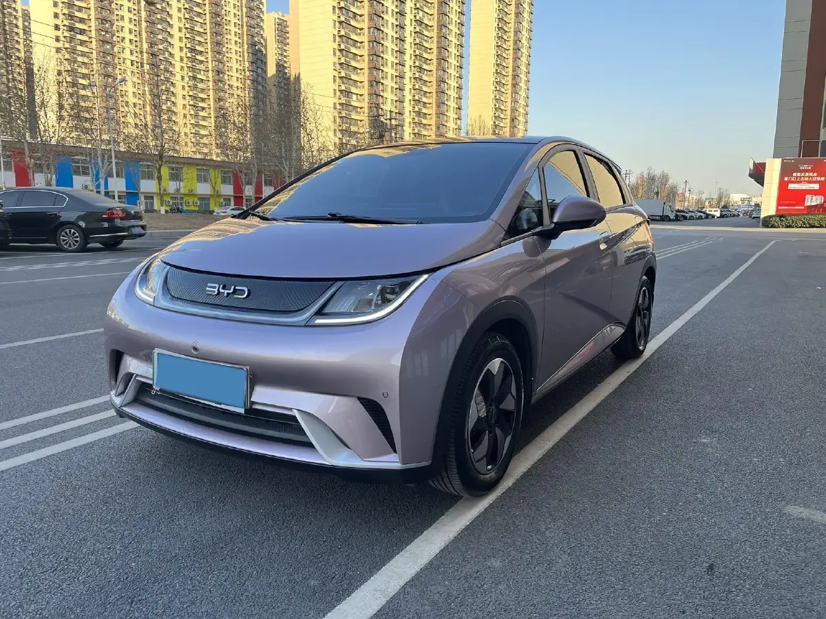 2024 BYD Dolphin BEV 44.928KWH 2024 BYD Dolphin BEV 44.928KWH