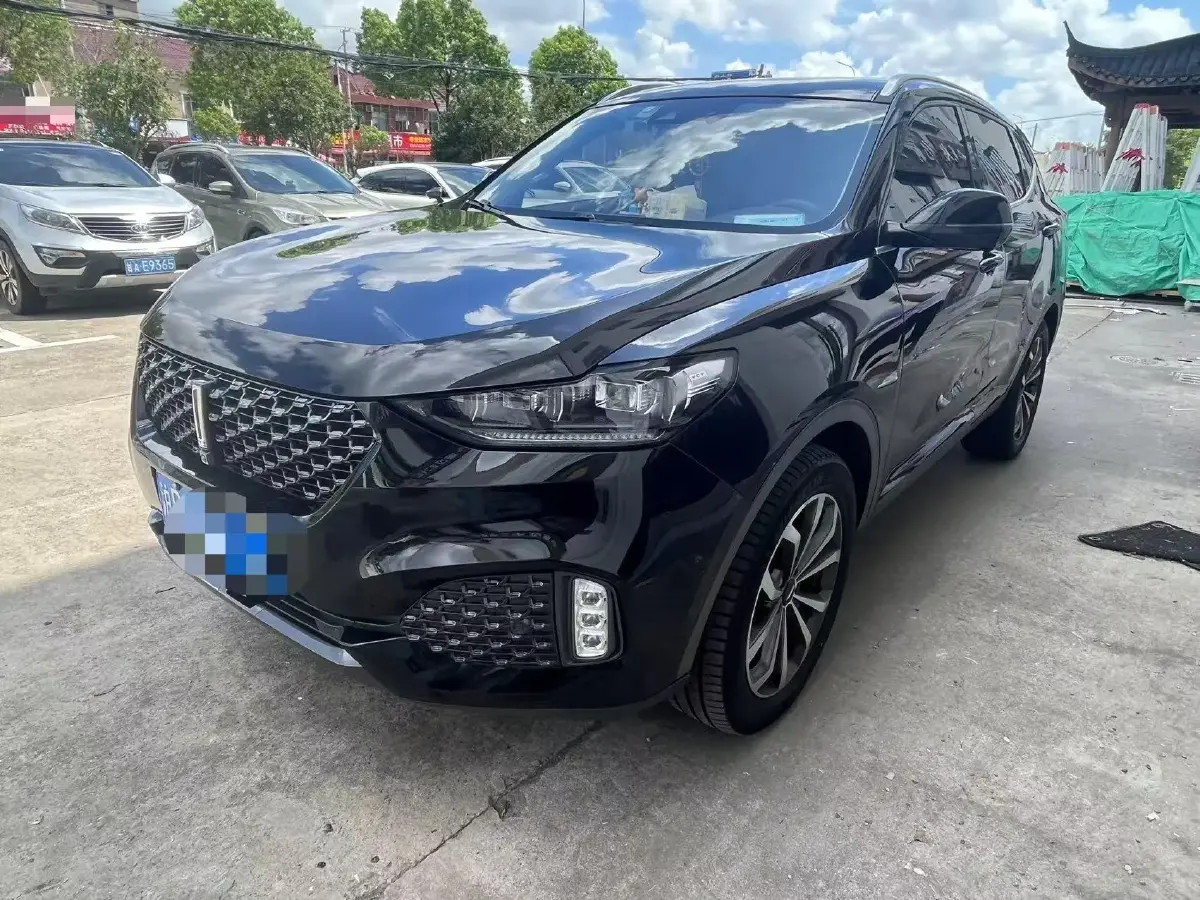 2020 WEY VV6 2.0T 227HP L4 7DCT