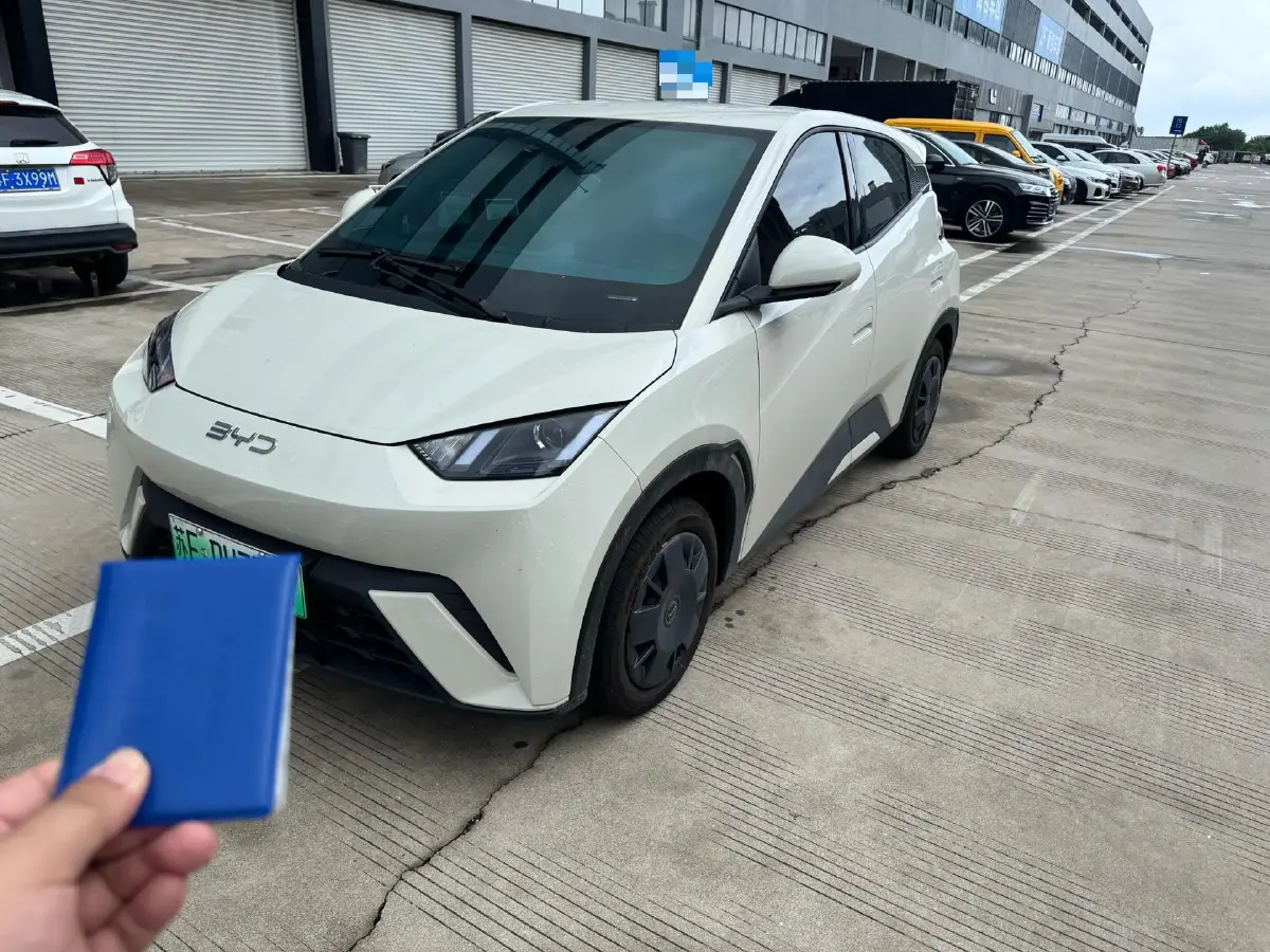 2025 BYD Seagull BEV 30.08KWH