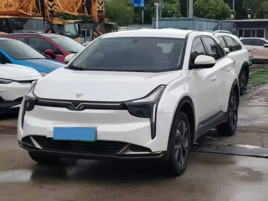 2022 Neta U BEV 55.8KWH