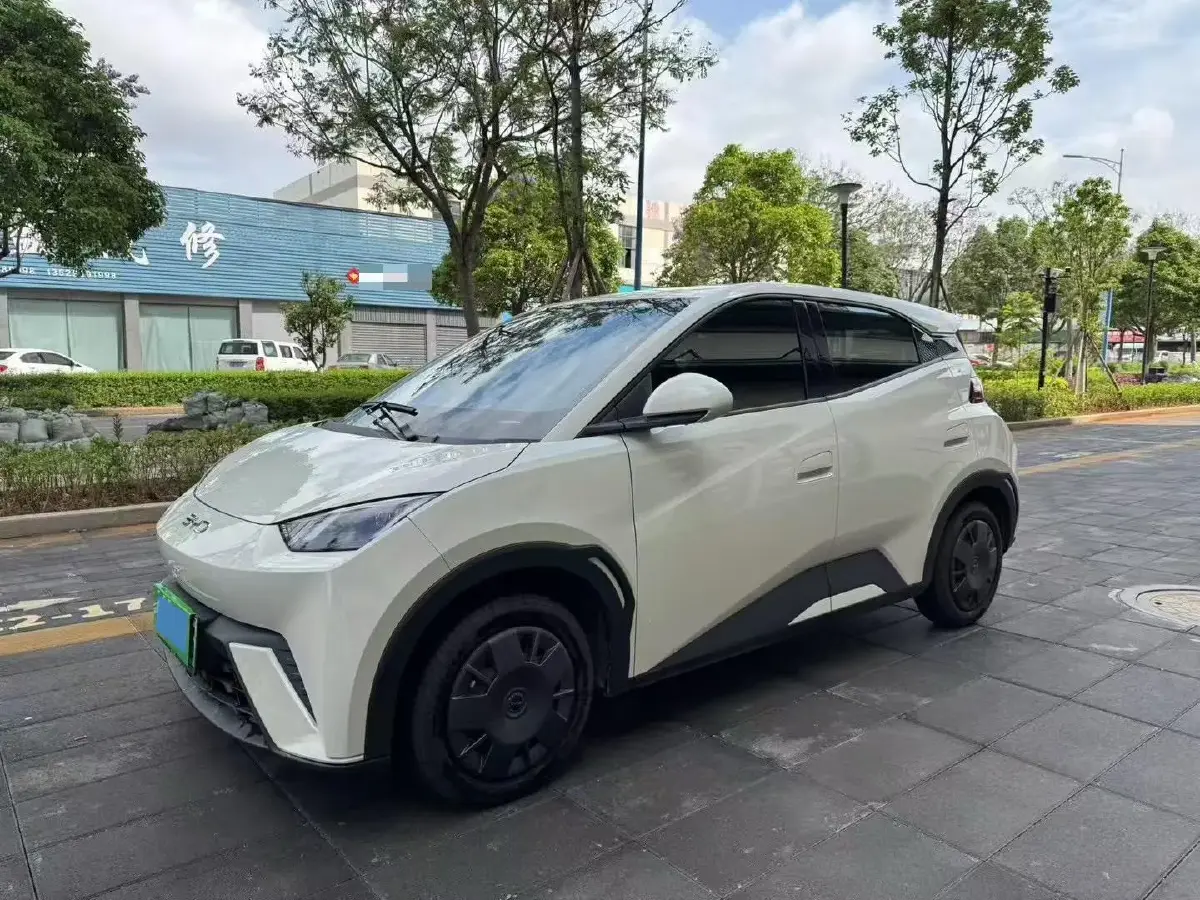 2024 BYD Seagull BEV 30.08KWH