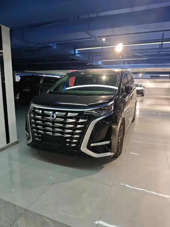 2022 Denza D9 1.5T 139HP L4 E-CVT PHEV 40.06KWH