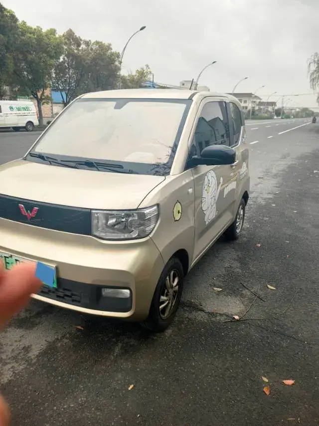 2020 WuLing HongGuang MINI EV BEV 13.8KWH