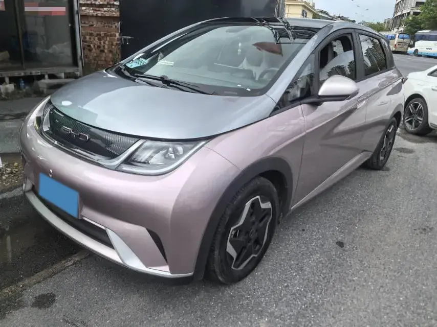 2021 BYD Dolphin BEV 44.9KWH