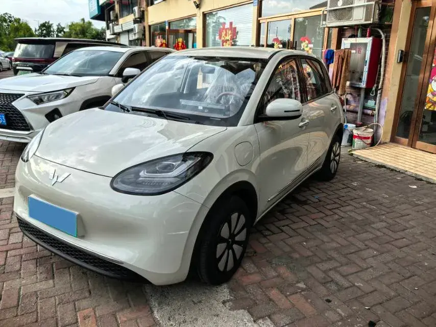 2025 WuLing BinGuo BEV