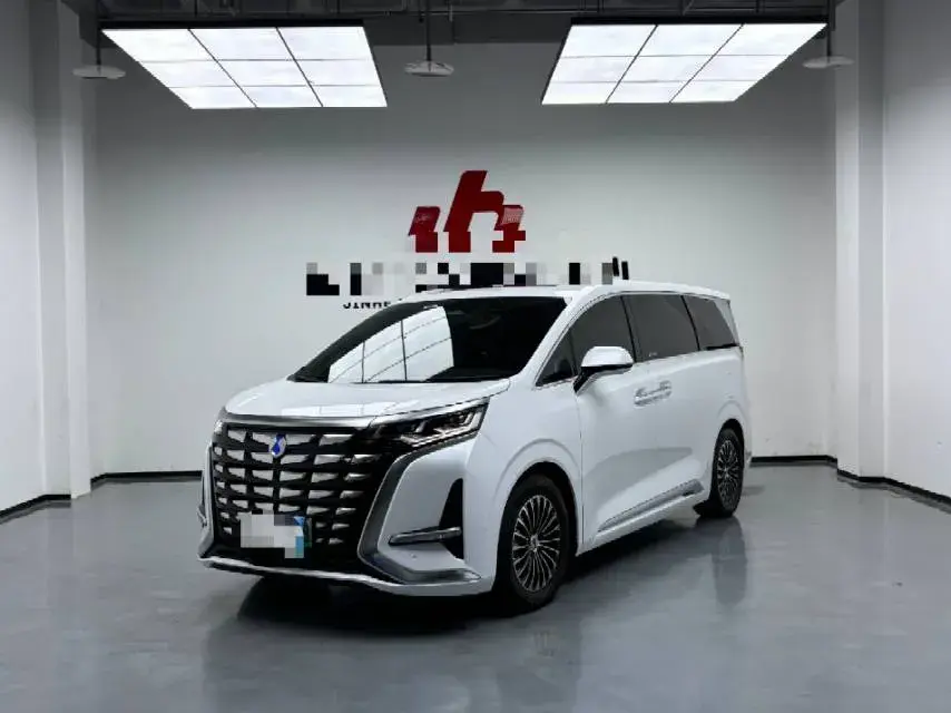 2022 Denza D9 1.5T 139HP L4 E-CVT PHEV 40.06KWH