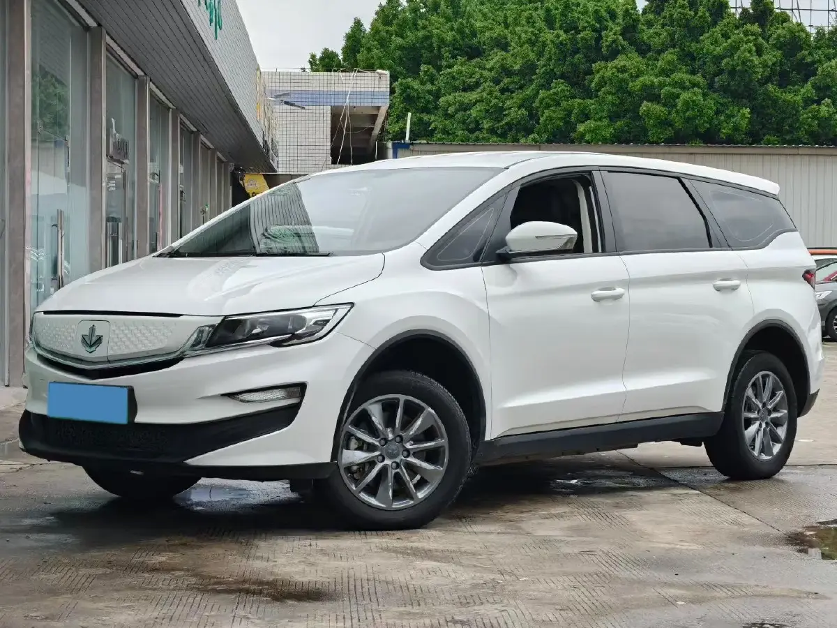 2021 LiFan Maple 80v BEV 53KWH