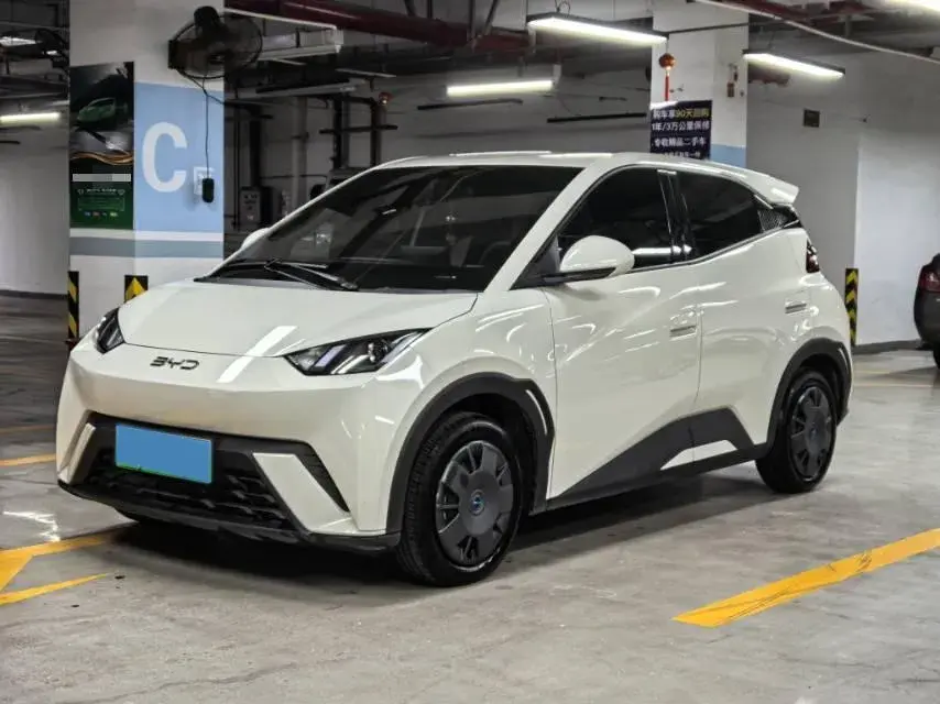 2024 BYD Seagull BEV 30.08KWH