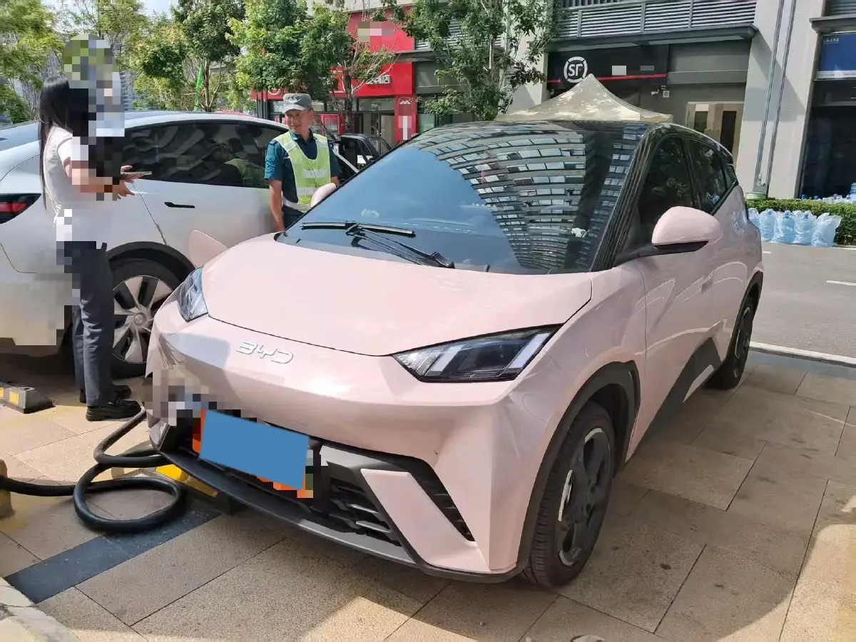 2024 BYD Seagull BEV 30.08KWH