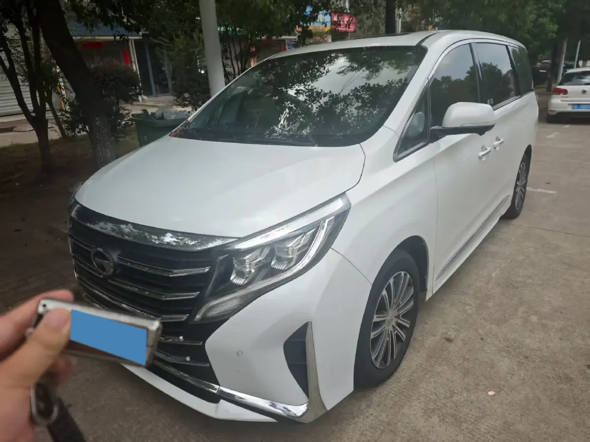 2023 GAC Trumpchi M8 2.0T 252HP L4 8AT