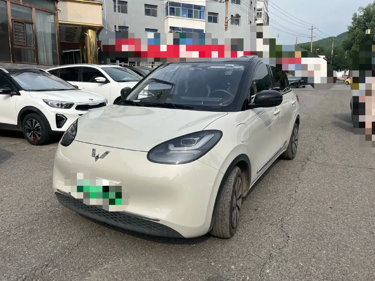 2024 WuLing BinGuo BEV 31.9KWH