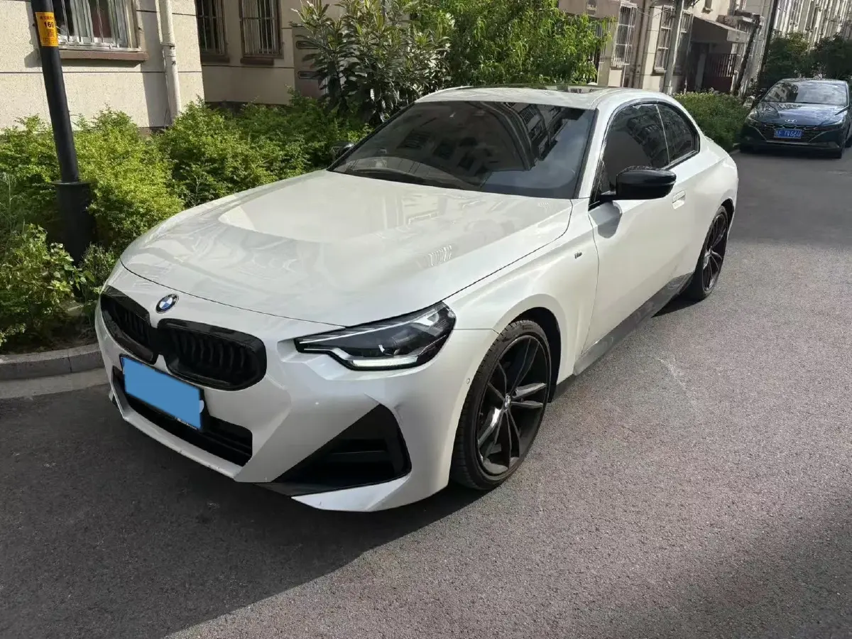 2022 BMW 2 Series 2.0T 184HP L4 8AT 2022 BMW 2 Series 2.0T 184HP L4 8AT