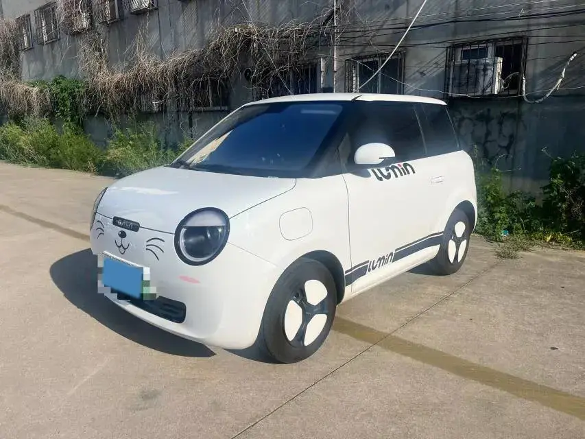 2023 ChangAn QiYuan Lumin BEV 17.65KWH