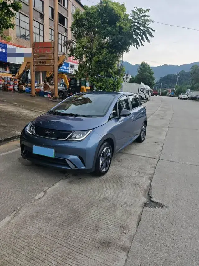 2025 BYD Dolphin BEV 44.928KWH