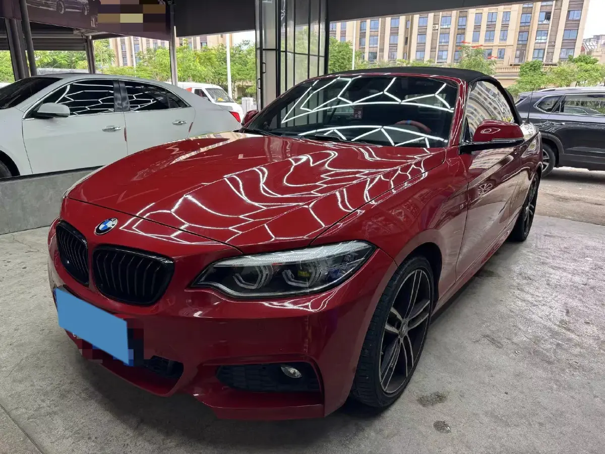 2019 BMW 2 Series 2.0T 184HP L4 8AT