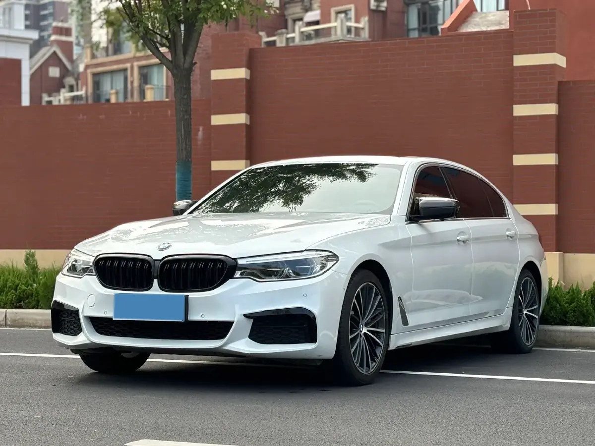 2020 BMW 5 Series 2.0T 252HP L4 8AT