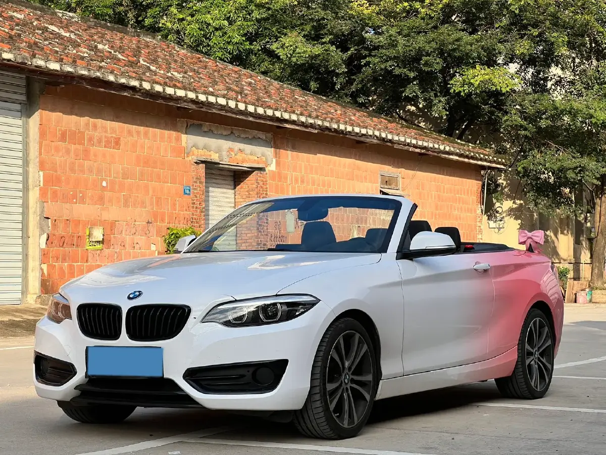 2019 BMW 2 Series 2.0T 184HP L4 8AT