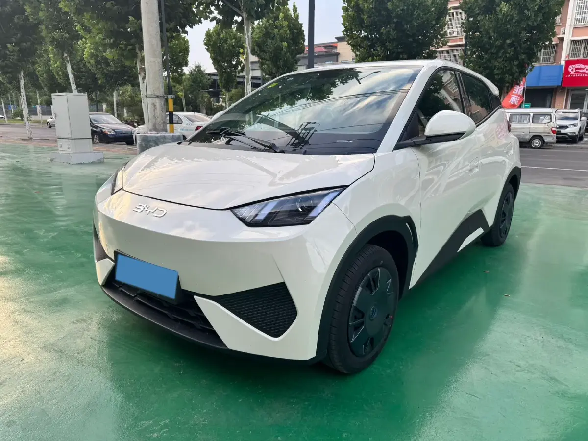 2025 BYD Seagull BEV 30.08KWH