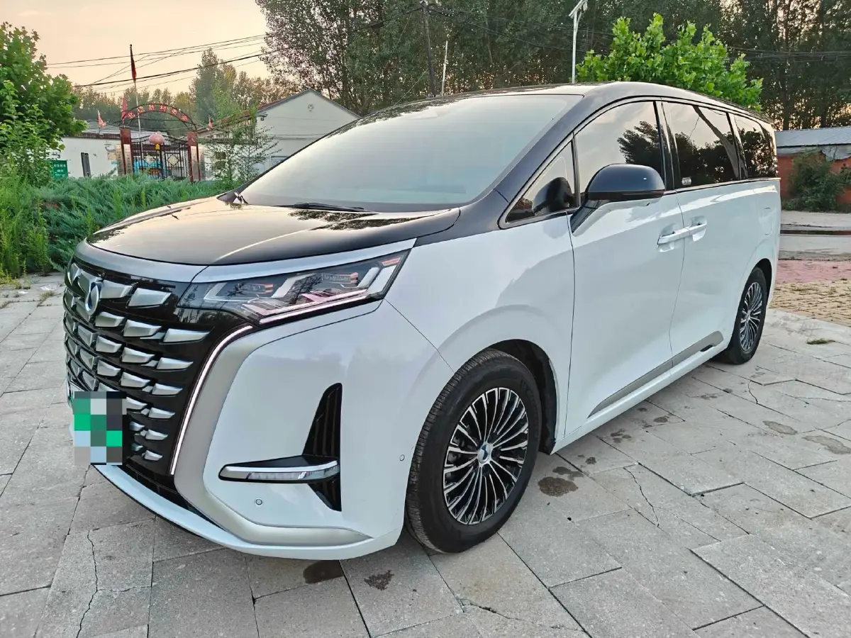 2022 Denza D9 1.5T 139HP L4 E-CVT PHEV 40.06KWH