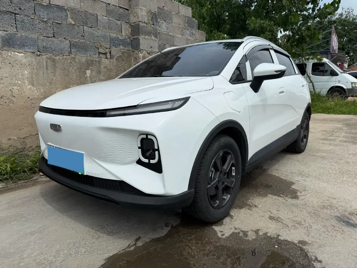 2024 Geometry E BEV 39.3KWH