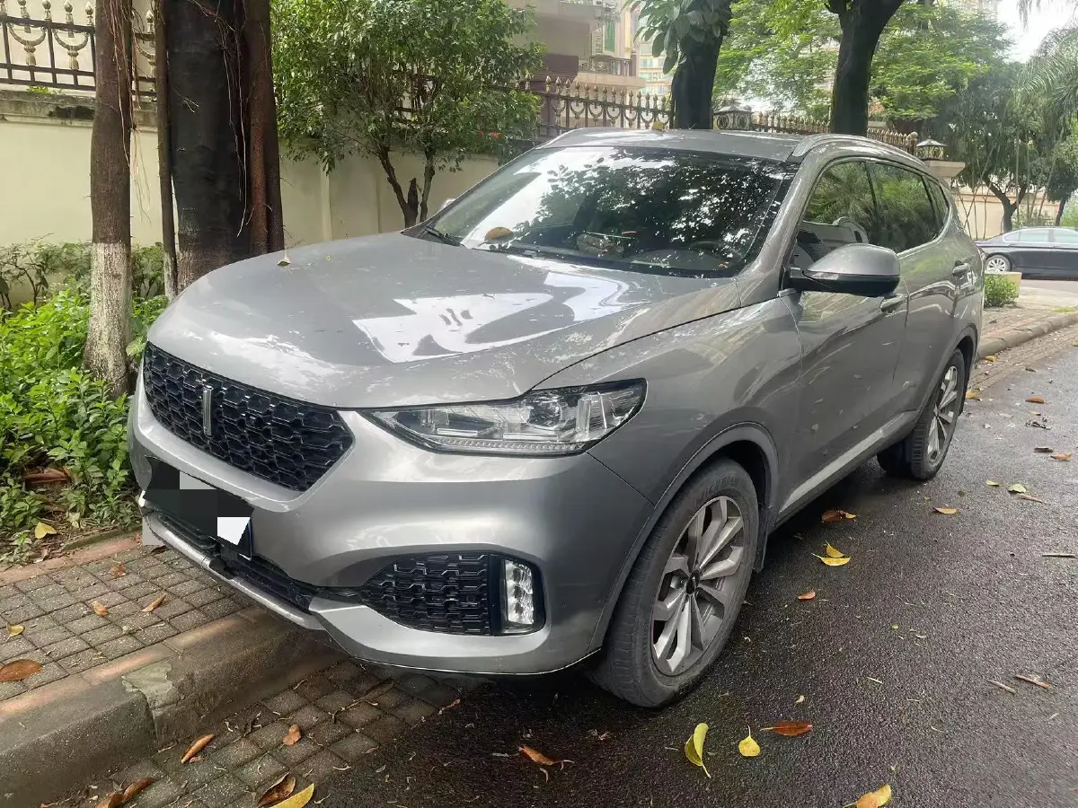 2018 WEY VV6 2.0T 197HP L4 7DCT