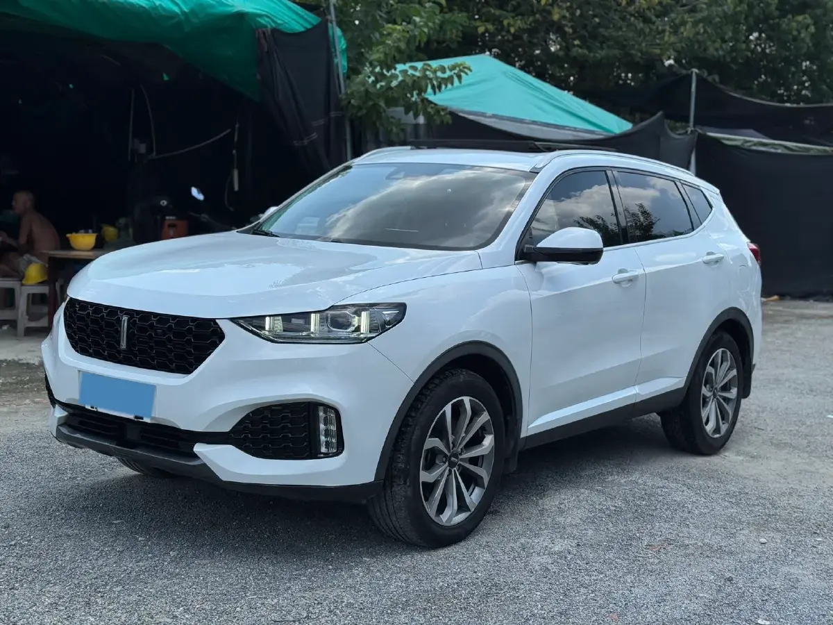 2018 WEY VV6 2.0T 197HP L4 7DCT